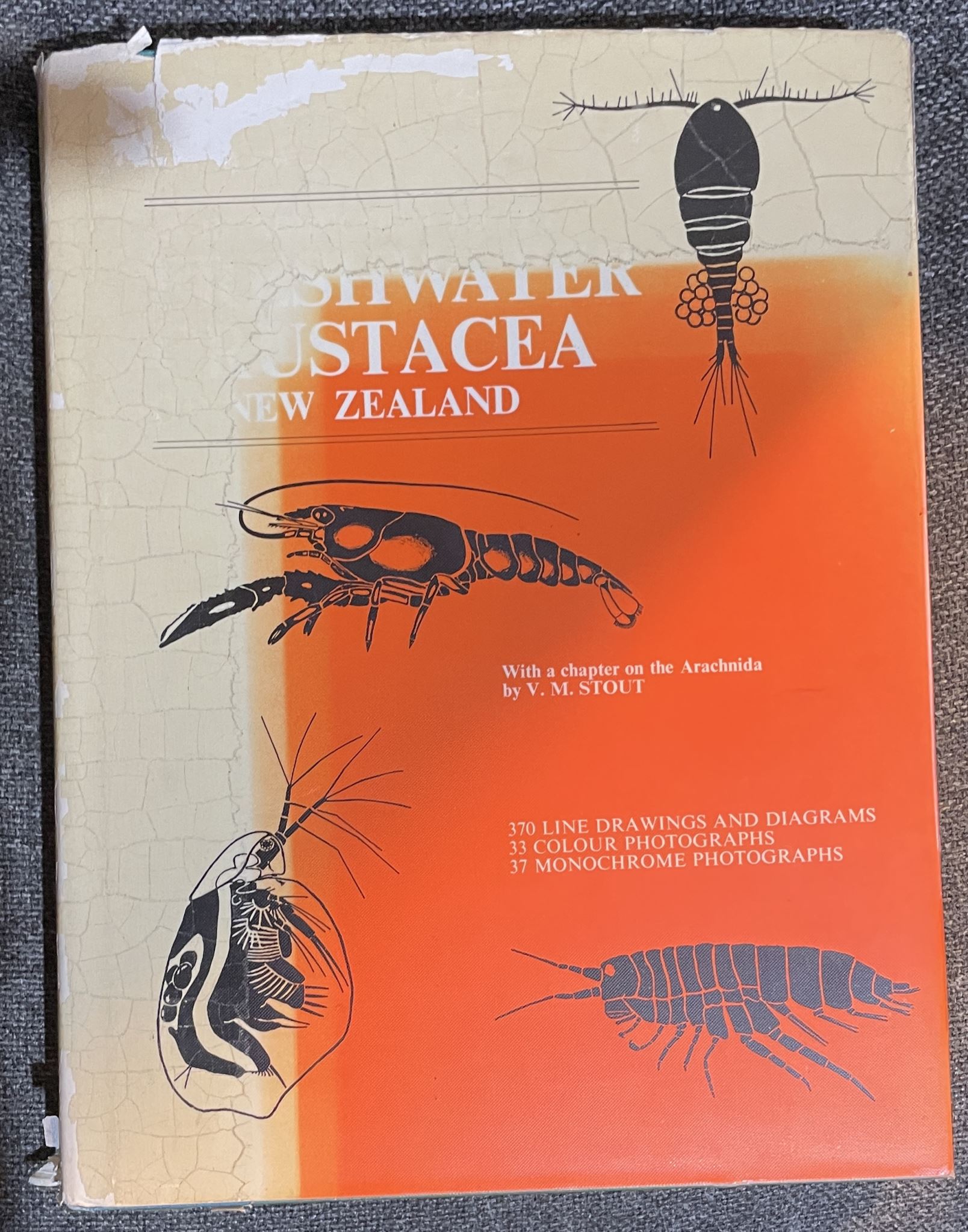 An introduction to the freshwater crustacea of New Zealand